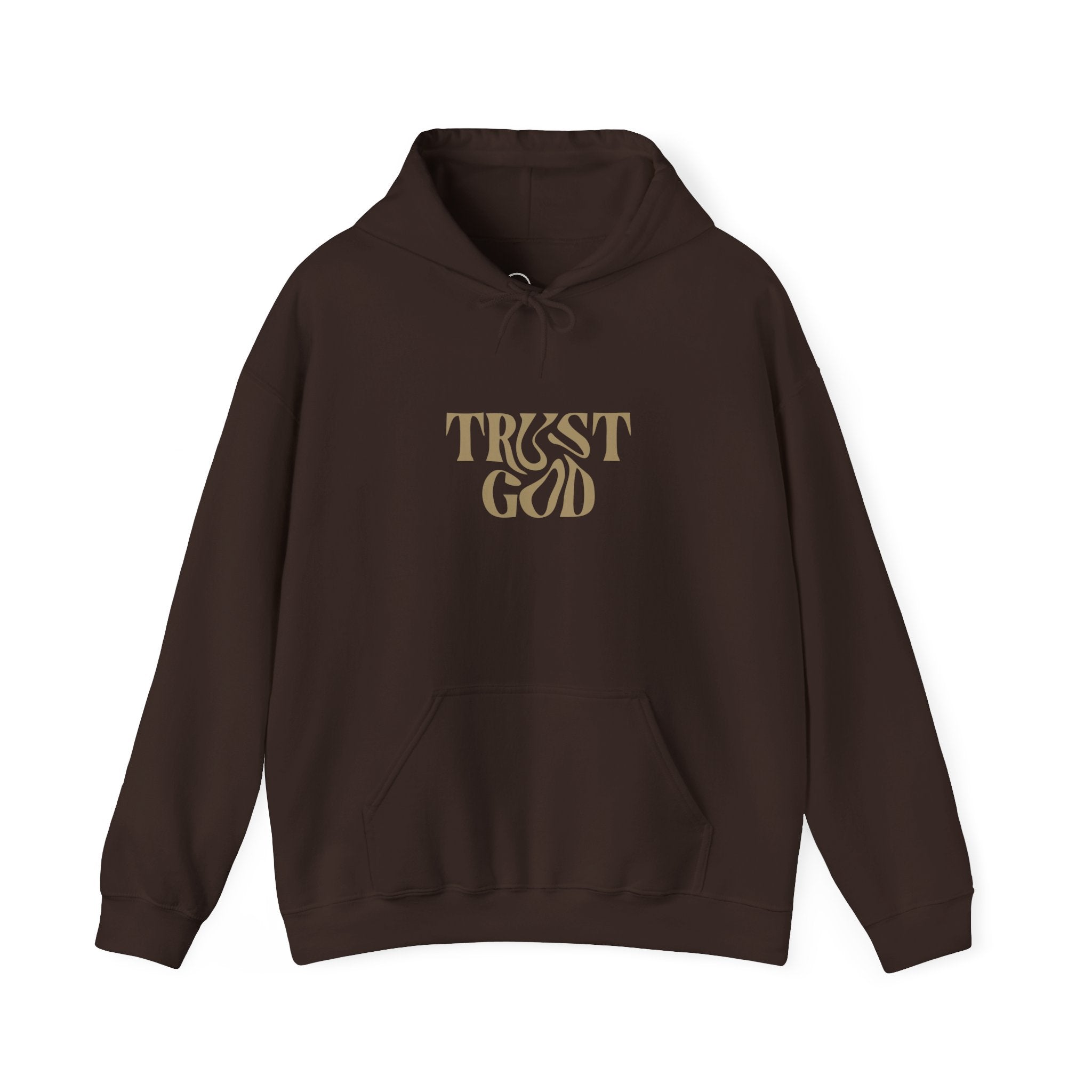 Faith-Inspired Hoodie - "Trust God"