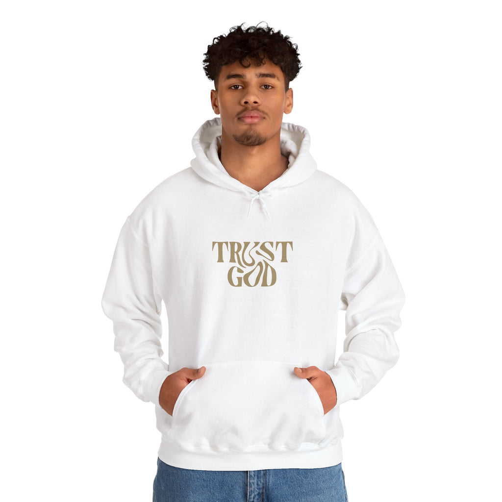 Faith-Inspired Hoodie - "Trust God"