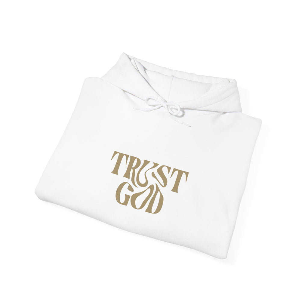 Faith-Inspired Hoodie - "Trust God"