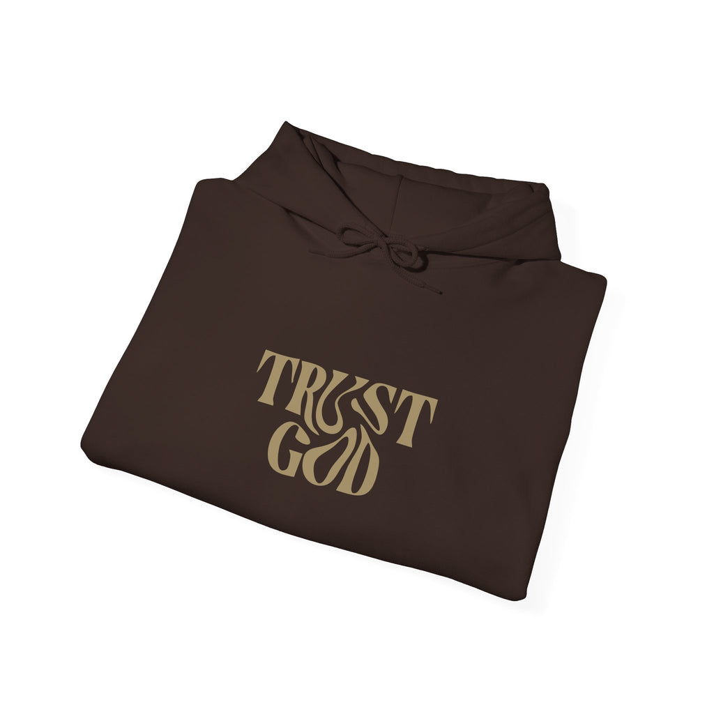 Faith-Inspired Hoodie - "Trust God"