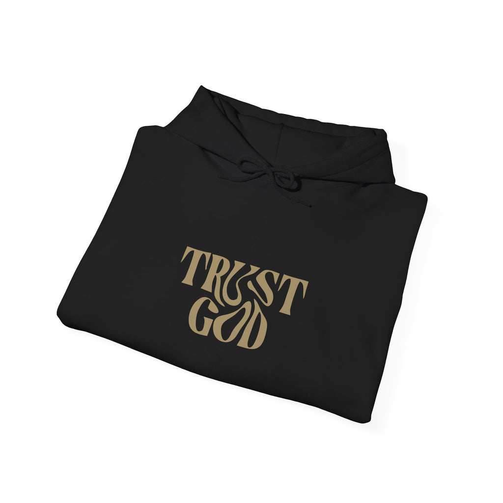 Faith-Inspired Hoodie - "Trust God"