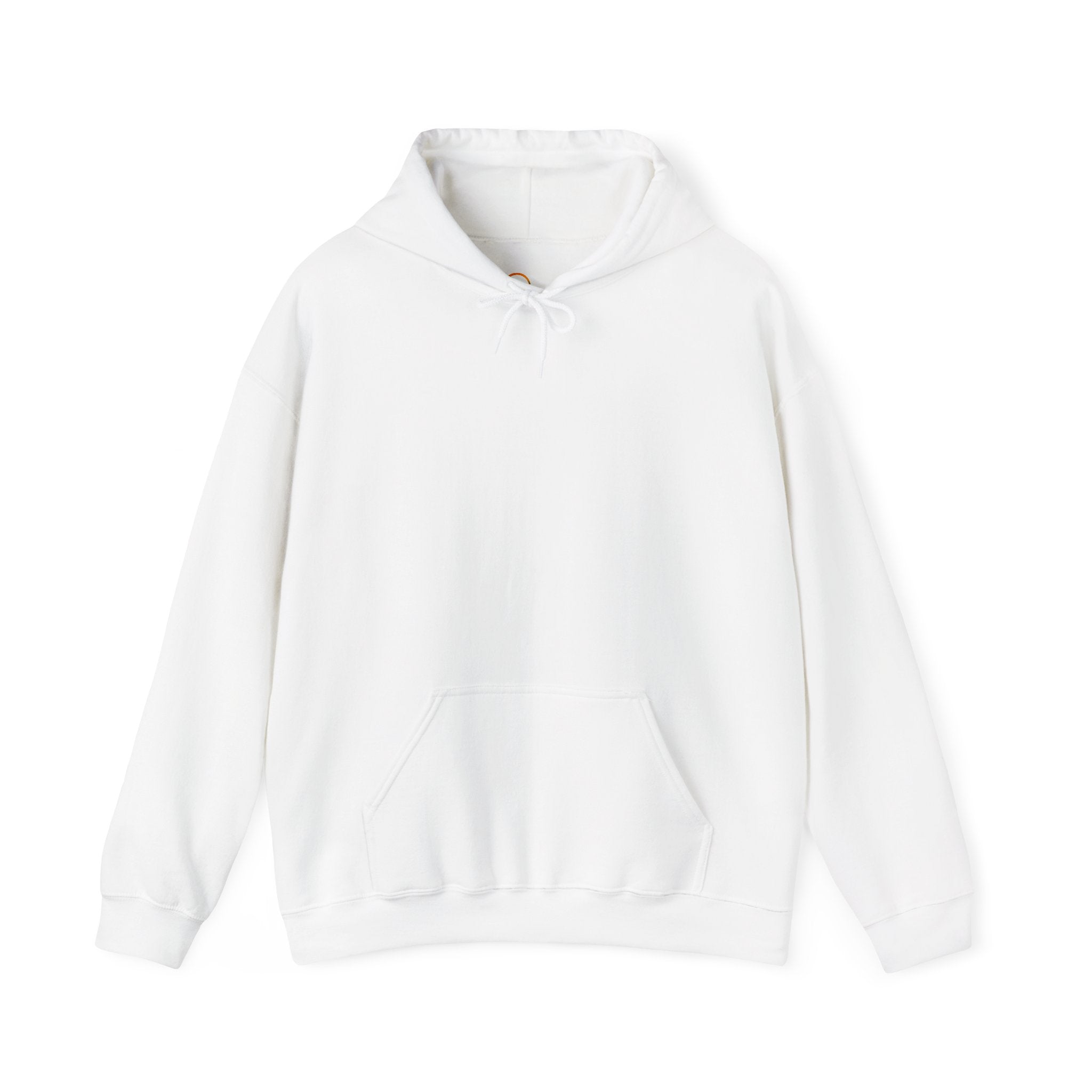 Inspirational God’s Plan Hoodie