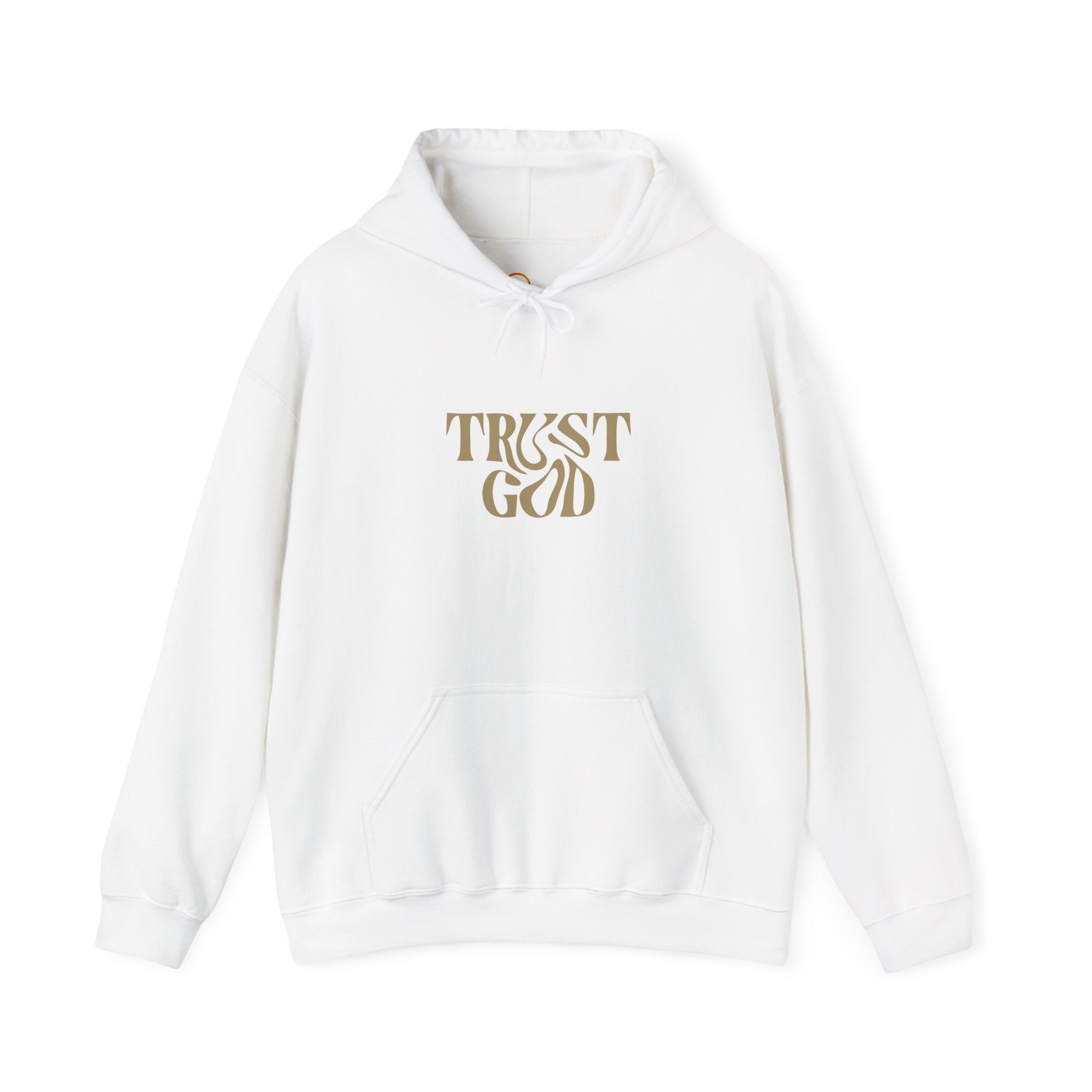 Faith-Inspired Hoodie - "Trust God"