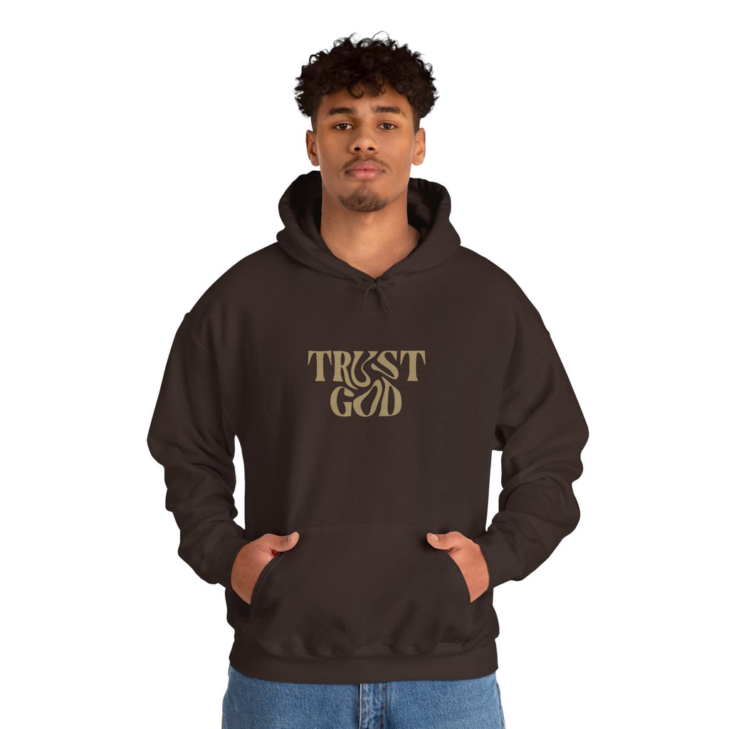 Faith-Inspired Hoodie - "Trust God"
